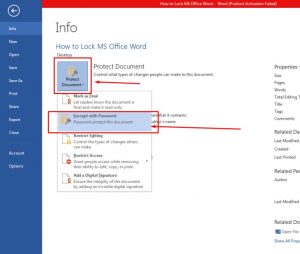 Lock MS Office Word