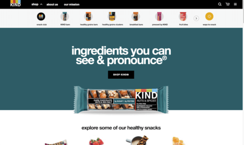 website design ideas for beginners KINDSnacks