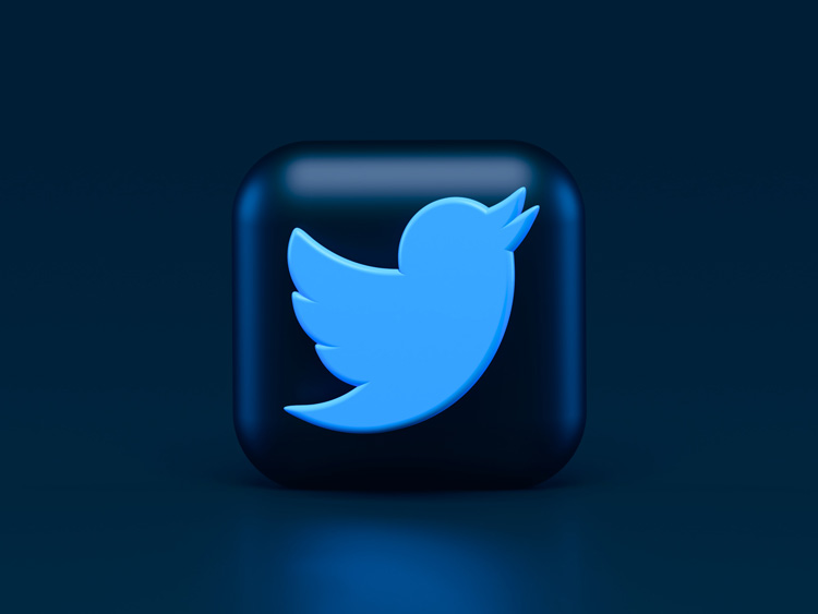How to Make Money on Twitter In 2023| MyAdviseNow